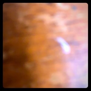 I just had a big price drop on everything!!